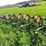 john-deere-rm-image-5