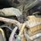 caterpillar-xq125-image-37