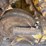 2018-caterpillar-d6n-xl-image-34
