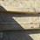 caterpillar-npp40-image-7