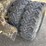 #5008-•-morrison-ompb16-concrete-power-buggy-image-20