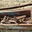 #153-•-pats-barn-sweep-conveyor-image-10