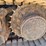 2020-caterpillar-303.5e2-cr-image-10
