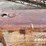 #8633-•-hobart-powerweld-303-welder-trailer-(maq)-image-47