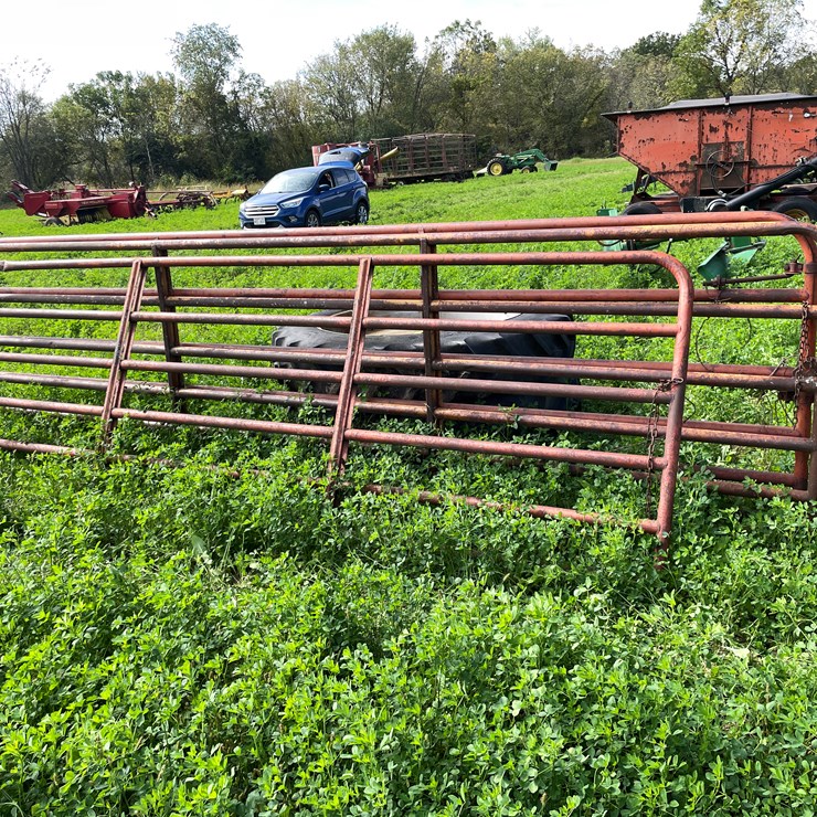 #4460 • (3) Cattle Gates