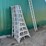 8'-aluminum-orchard-ladders-image-1