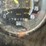 #4485-•-1981-international-cof-9670-grain-truck-(no-title)-image-42