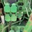 john-deere-6200-image-26