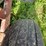 new-holland-355-image-22