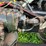 #4421-•-international-eagle-grain-truck-(no-title)-image-49