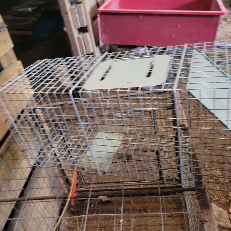 (2) Live Traps, Located In Shed
