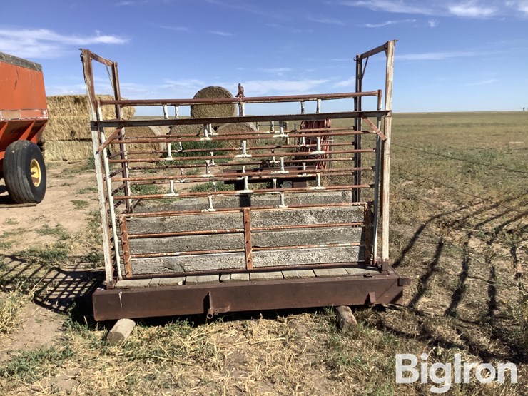 ww-800-livestock-scale-image-8