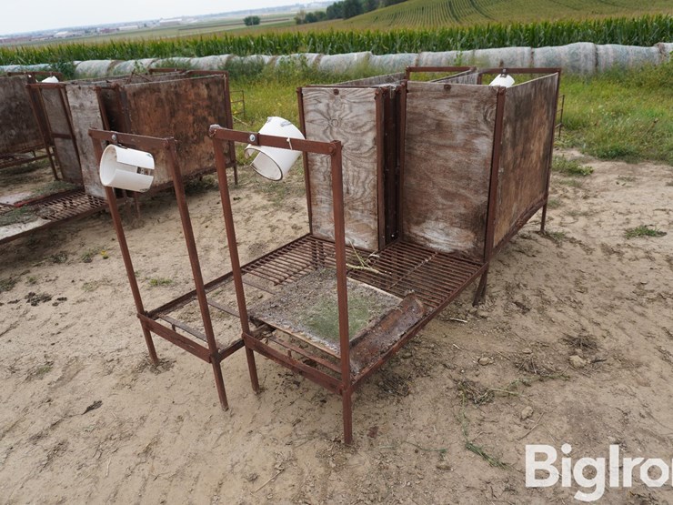 raised-calf-crates-image-5