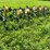 john-deere-rm-image-7