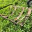 #4471-•-boom-sprayer-on-cart-image-9