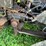 #4421-•-international-eagle-grain-truck-(no-title)-image-48