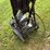 brute-2500-psi,-2gpm-gas-powered-pressure-washer,-honda-gcv-engine,-motor-i-image-5