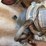 corded-shop-vac-image-5