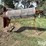 hutchinson-6’-grain-cleaner-image-4