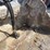 #5044-•-bobcat-3-in-1-approx-74"-bucket-image-8