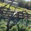 steel-wheel-side-bar-rake,-located-field-image-3