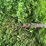 #4428-•-john-deere-running-gear-image-9