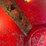 international-10-image-26