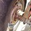#1890-•-massy-ferguson-255-tractor-image-43