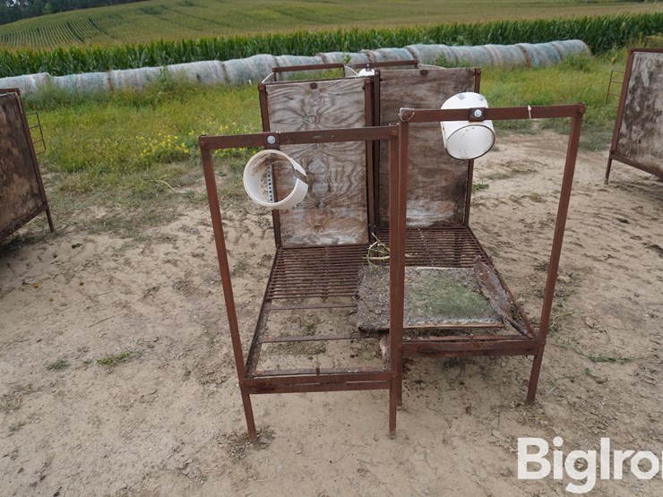 raised-calf-crates-image-6