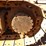 caterpillar-314c-image-8