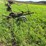 john-deere-11-image-4