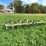 john-deere-rm-image-3