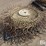 56"-wheel-rake-wheels-image-4