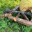 new-holland-355-image-13