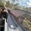 #8624-•-carry-away-conveyor-unit-(maq)-image-20
