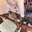ford-f800-image-74