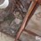 raised-calf-crates-image-17