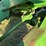 john-deere-4455-image-29