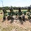 john-deere-4-row-planter-494a-image-3