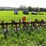 #4474-•-ih-153-cultavator-image-6