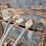 #1701-•-2013-kenworth-t800-log-truck-image-31