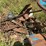 #153-•-pats-barn-sweep-conveyor-image-27