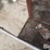 raised-calf-crates-image-13