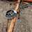 bearcat-seedbed-maker-image-9