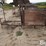 raised-calf-crates-image-4