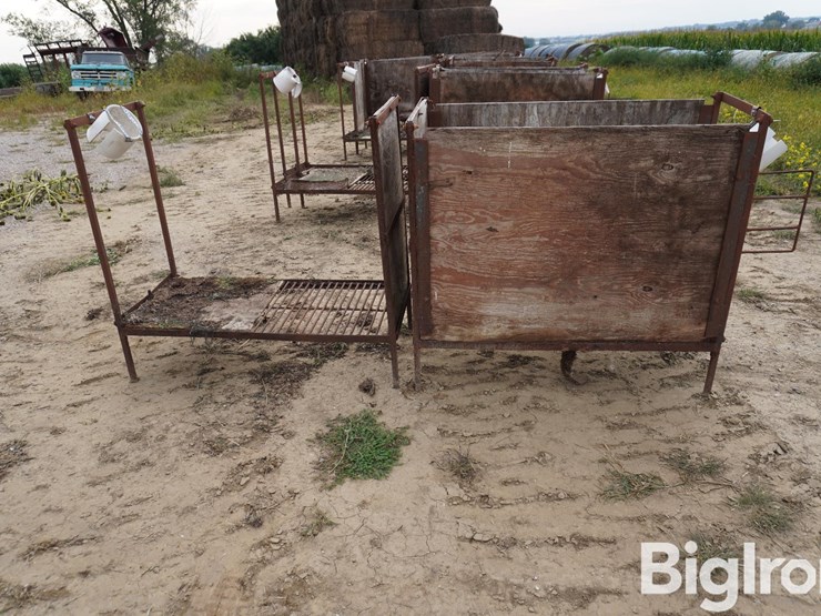 raised-calf-crates-image-4
