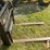 unknown-pallet-forks-image-3