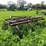 #4463-•-brady-(10)-tooth-chisel-plow-image-7
