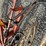 hesston-3980-image-18