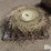 56"-wheel-rake-wheels-image-6